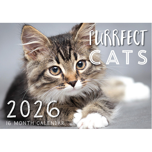 Purfect Cats - 2026 Rectangle Wall Calendar 16 Months by Design Group