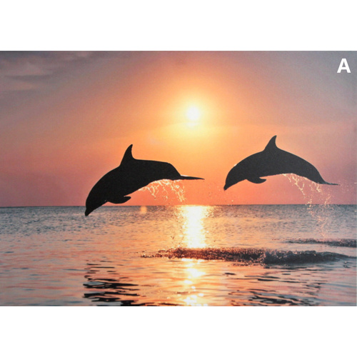 50x70cm Dolphins Sea Stretched Canvas Print on Frame Ready to Hang [Design: A]