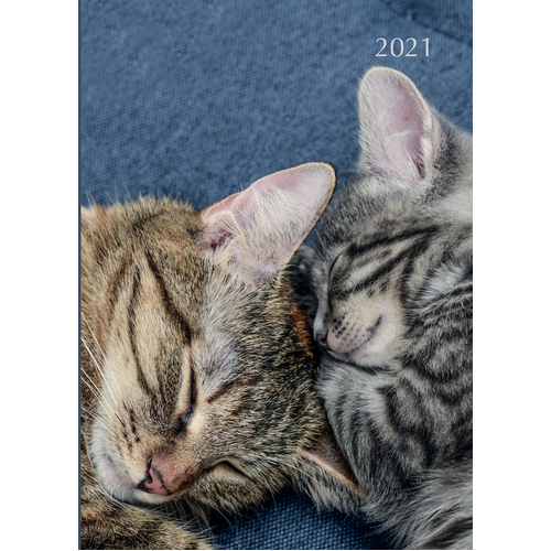 Cats & Kittens - 2021 Diary Planner A5 Padded Cover by The Gifted Stationery(DB)
