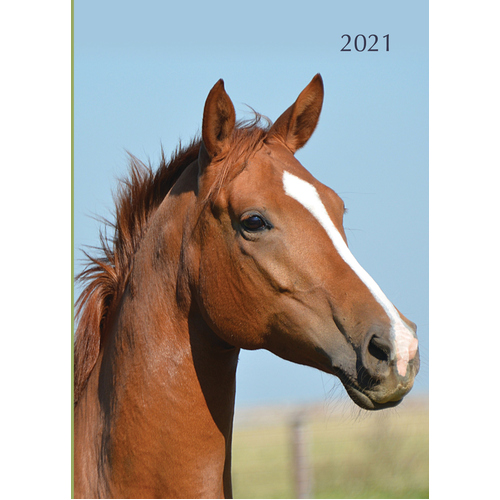 Horses - 2021 Diary Planner A5 Padded Cover by The Gifted Stationery (DA)