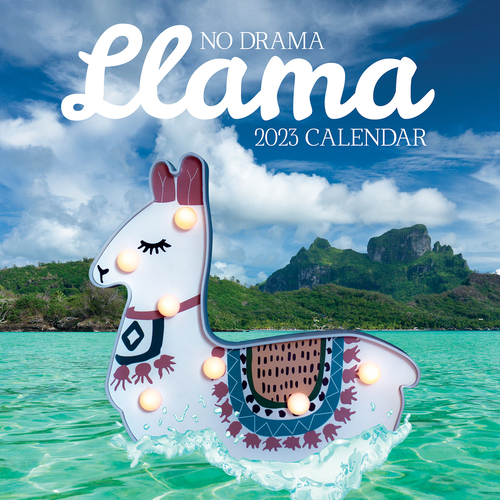 No Drama Llama - 2023 Square Wall Calendar 16 month by Gifted Stationery