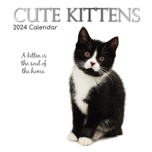Cute Kittens - 2024 Square Wall Calendar 16 month by Gifted Stationery (1)