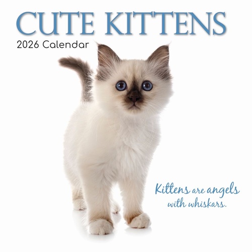 Cute Kittens - 2026 Gifted Stationery Wall Calendar Monthly Planner Cats