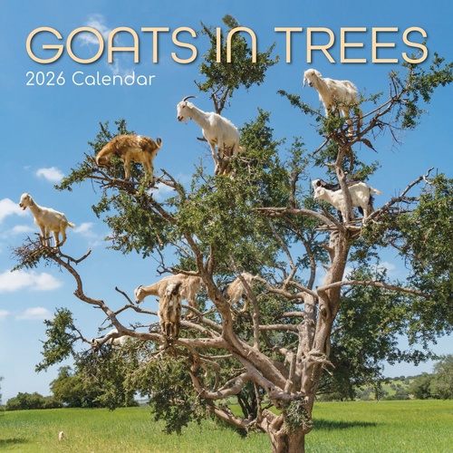 Goats in Trees - 2026 Gifted Stationery Wall Calendar Funny Animal Photos