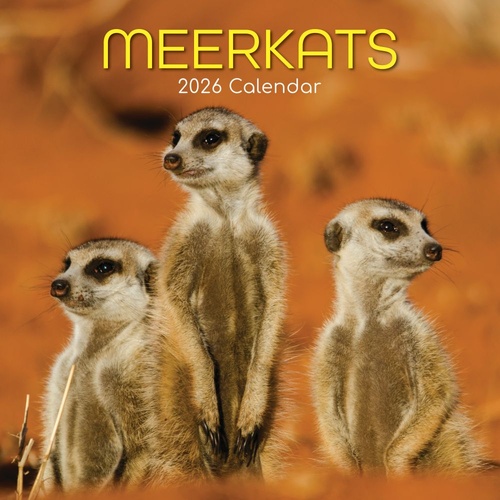 Meerkats - 2026 Gifted Stationery Wall Calendar Monthly Planner Wildlife