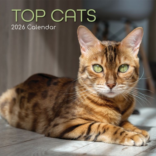 Top Cats - 2026 Gifted Stationery Wall Calendar Feline Photography Series