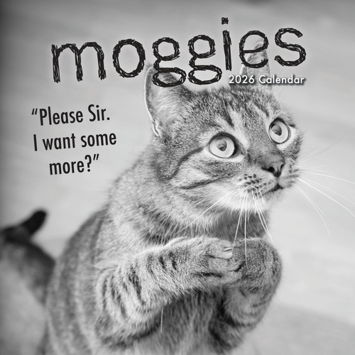 Moggies - 2026 Gifted Stationery Wall Calendar Quirky Cat Expressions & Quotes