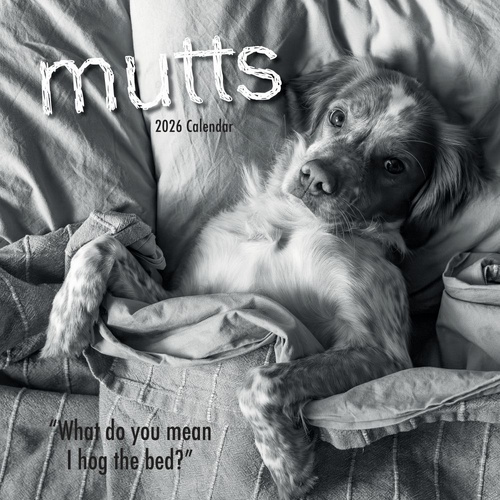 Mutts - 2026 Gifted Stationery Wall Calendar Adorable Dogs with Attitude
