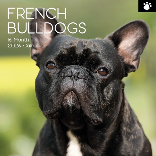 French Bulldogs - 2026 Gifted Stationery Wall Calendar Dog Breed Photography