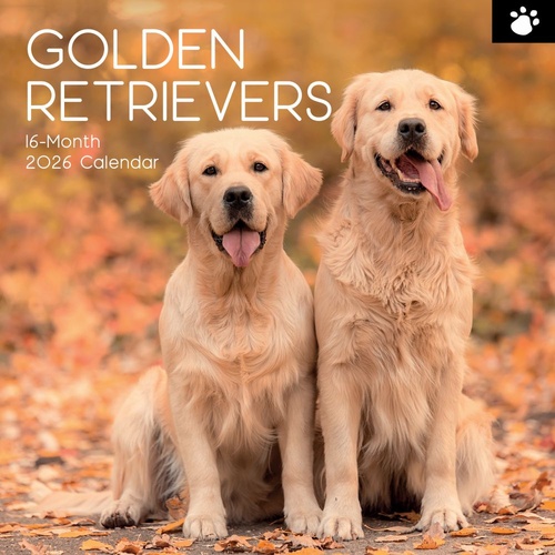 Golden Retrievers - 2026 Gifted Stationery Wall Calendar Dog Breed Photography