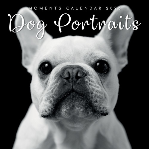 Dog Portraits - 2026 Gifted Stationery Wall Calendar Canine Photography Art