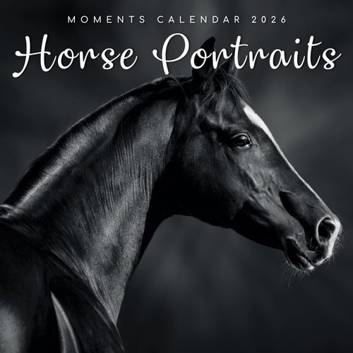 Horse Portraits - 2026 Gifted Stationery Wall Calendar Equestrian Photography