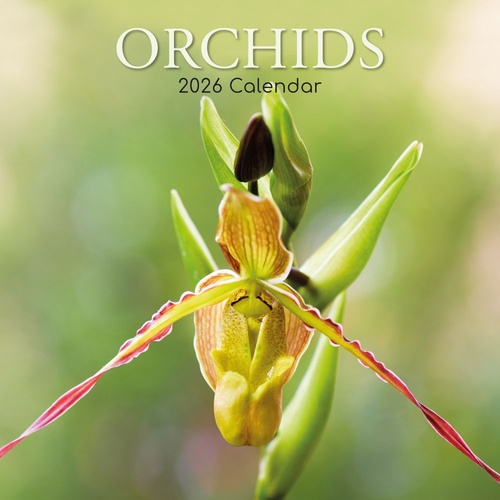 Orchids - 2026 Gifted Stationery Wall Calendar Orchid Varieties Photography