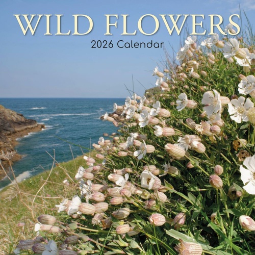 Wild Flowers - 2026 Gifted Stationery Wall Calendar Native Floral Scenes
