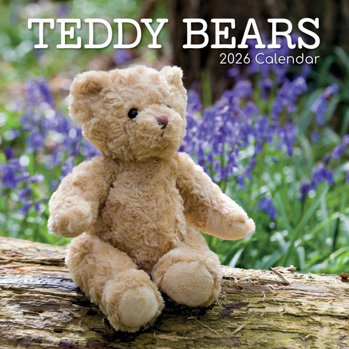 Teddy Bears - 2026 Gifted Stationery Wall Calendar Soft Toy Collectibles