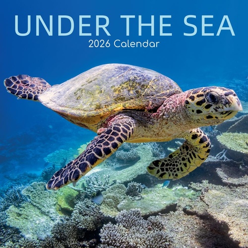 Under the Sea - 2026 Gifted Stationery Wall Calendar Ocean Life