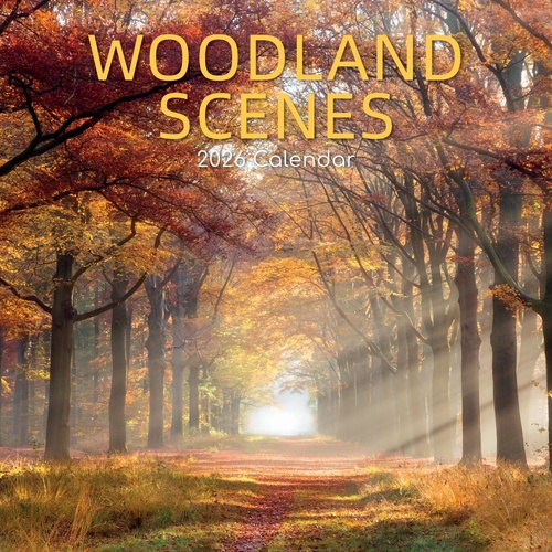 Woodland Scenes - 2026 Gifted Stationery Wall Calendar Forest Landscapes