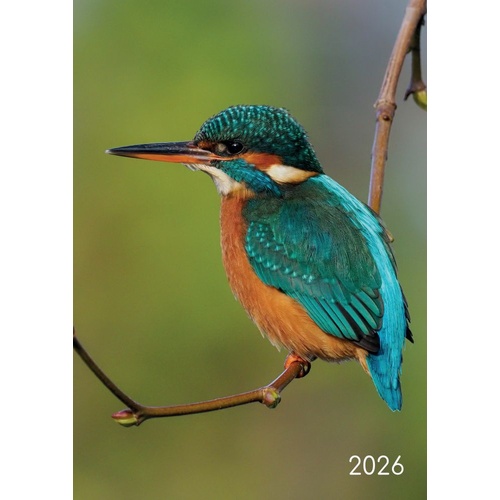 Birds - 2026 Gifted Stationery A5 Padded Diary Planner Wildlife Design