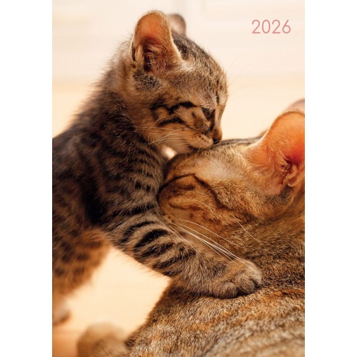 Cats and Kittens - 2026 Gifted Stationery A5 Padded Diary Planner Pet Lovers