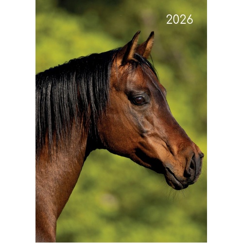 Horses - 2026 Gifted Stationery A5 Padded Diary Planner