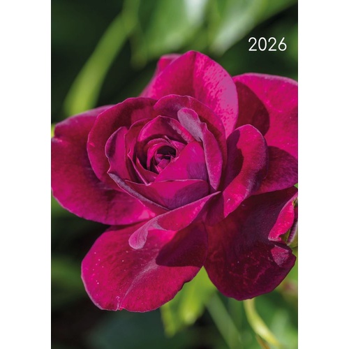 Roses - 2026 Gifted Stationery A5 Padded Diary Planner Classic Florals
