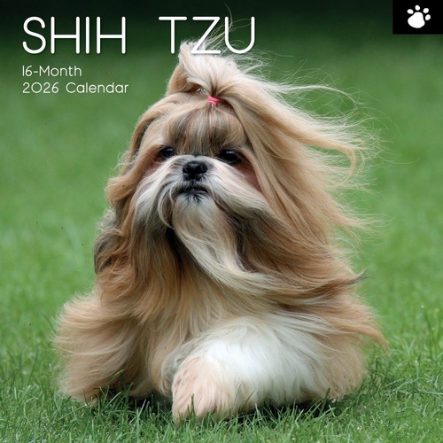 Shih Tzu - 2026 Gifted Stationery Wall Calendar Dog Breed Photography