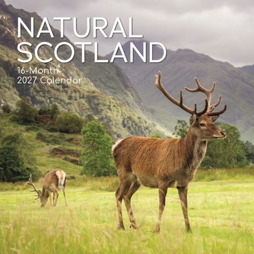 Scotland (Natural) - 2027 Gifted Stationery Wall Calendar Monthly Planner