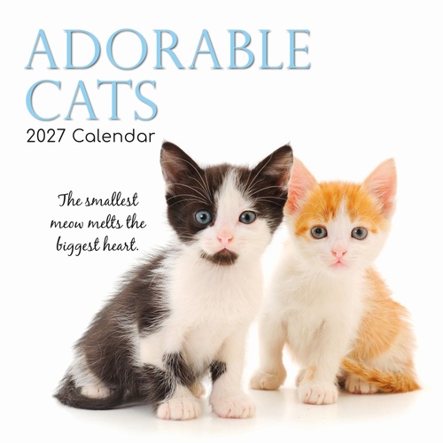 Adorable Cats - 2027 Gifted Stationery Wall Calendar Monthly Planner