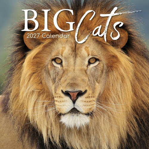 Big Cats - 2027 Gifted Stationery Wall Calendar Monthly Planner