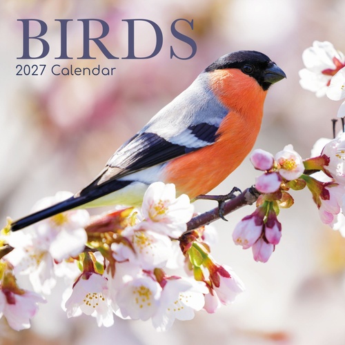 Birds - 2027 Gifted Stationery Wall Calendar Monthly Planner