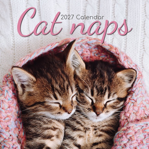 Cat Naps - 2027 Gifted Stationery Wall Calendar Monthly Planner