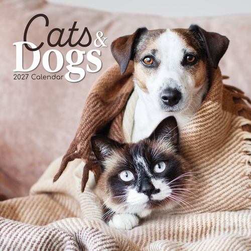 Cats & Dogs - 2027 Gifted Stationery Wall Calendar Monthly Planner