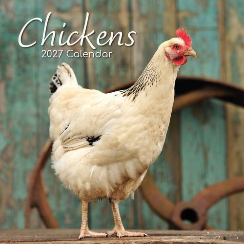 Chickens - 2027 Gifted Stationery Wall Calendar Monthly Planner