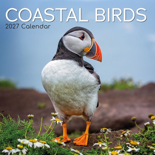 Coastal Birds - 2027 Gifted Stationery Wall Calendar Monthly Planner