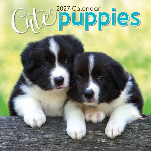 Cute Puppies - 2027 Gifted Stationery Wall Calendar Monthly Planner