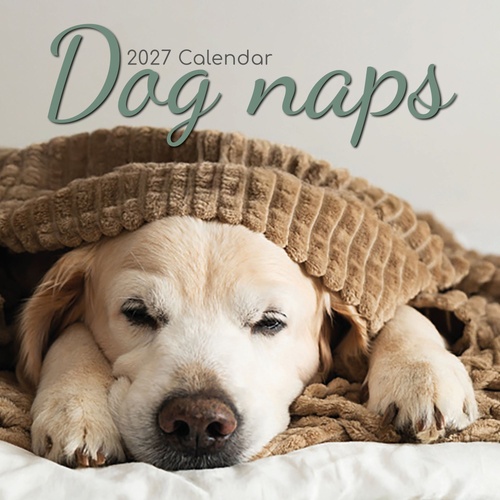 Dog Naps - 2027 Gifted Stationery Wall Calendar Monthly Planner