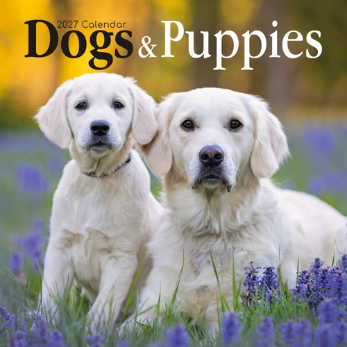 Dogs & Puppies - 2027 Gifted Stationery Wall Calendar Monthly Planner