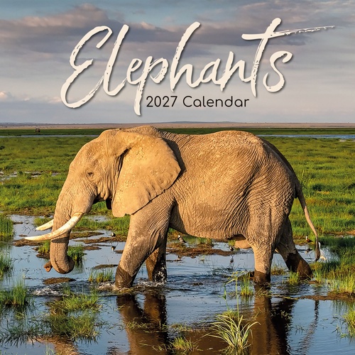 Elephants - 2027 Gifted Stationery Wall Calendar Monthly Planner