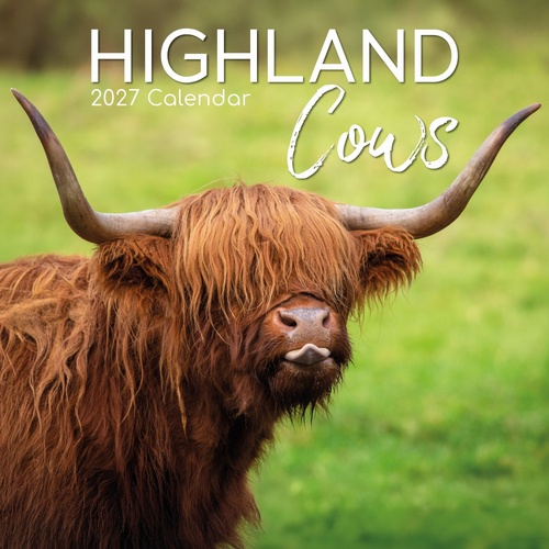 Highland Cows - 2027 Gifted Stationery Wall Calendar Monthly Planner