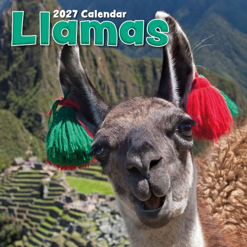 Llamas - 2027 Gifted Stationery Wall Calendar Monthly Planner