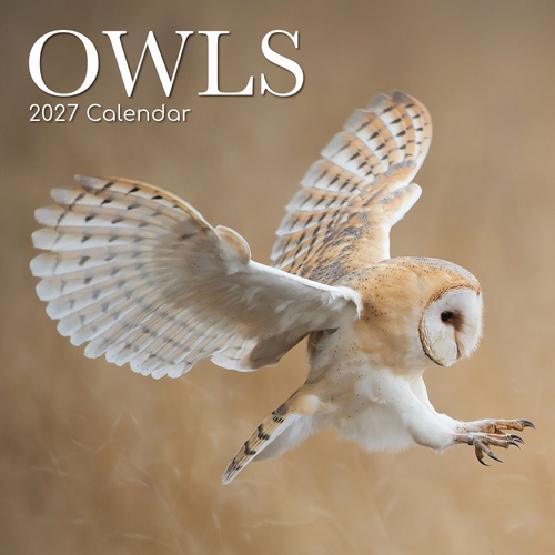 Owls - 2027 Gifted Stationery Wall Calendar Monthly Planner