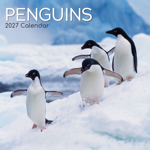 Penguins - 2027 Gifted Stationery Wall Calendar Monthly Planner