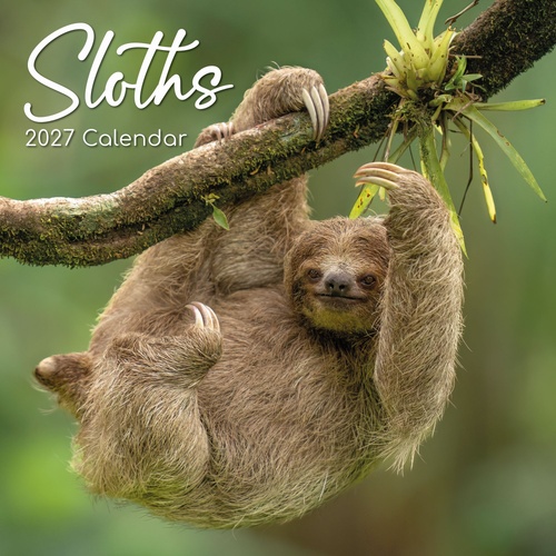 Sloths - 2027 Gifted Stationery Wall Calendar Monthly Planner