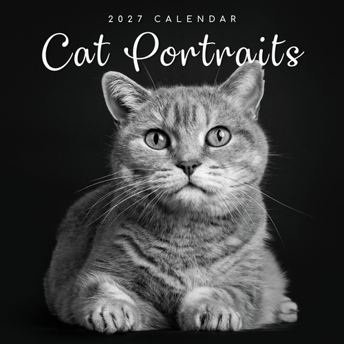 Cat Portraits - 2027 Gifted Stationery Wall Calendar Monthly Planner