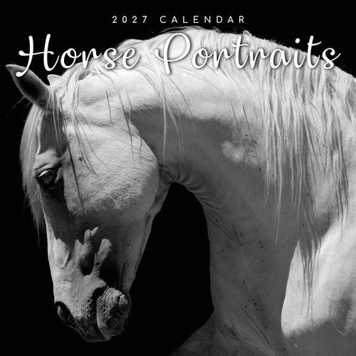 Horse Portraits - 2027 Gifted Stationery Wall Calendar Monthly Planner