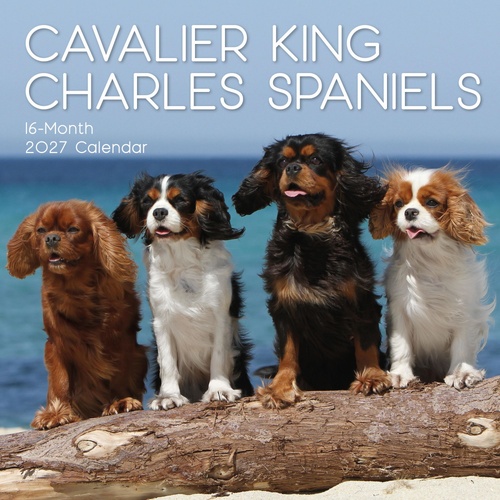 Cavalier King Charles Spaniels - 2027 Gifted Stationery Wall Calendar