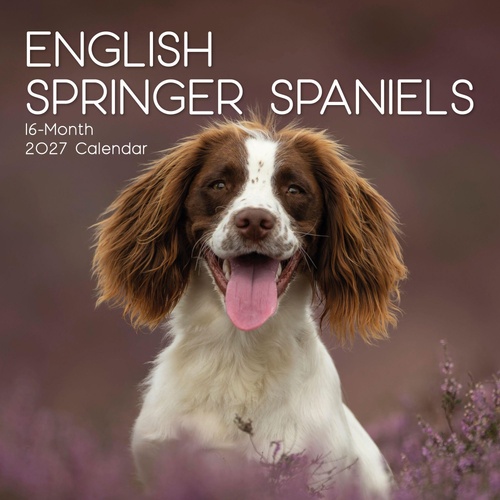 English Springer Spaniels - 2027 Gifted Stationery Wall Calendar Planner