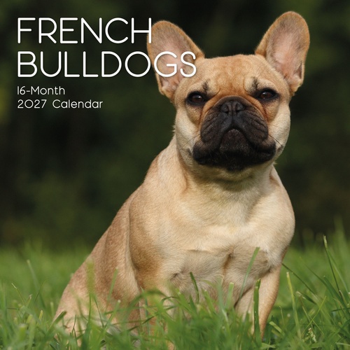 French Bulldogs - 2027 Gifted Stationery Wall Calendar Monthly Planner