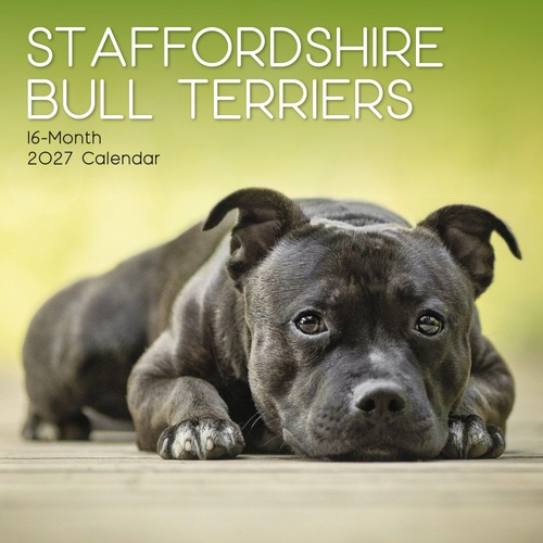 Staffordshire Bull Terriers - 2027 Gifted Stationery Wall Calendar Planner