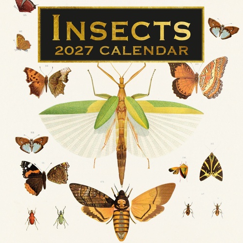 Insects - 2027 Gifted Stationery Wall Calendar Monthly Planner